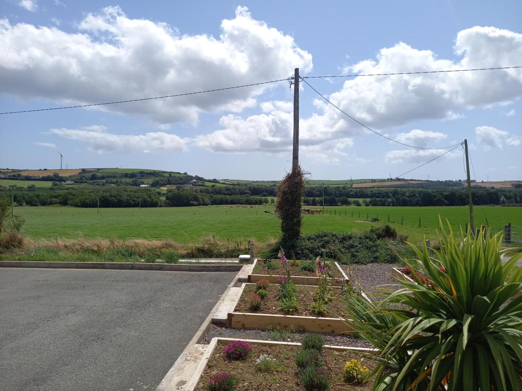 Teach Na Coille B&B Midleton Εξωτερικό φωτογραφία